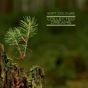 人妻熟妇潮喷黑人
